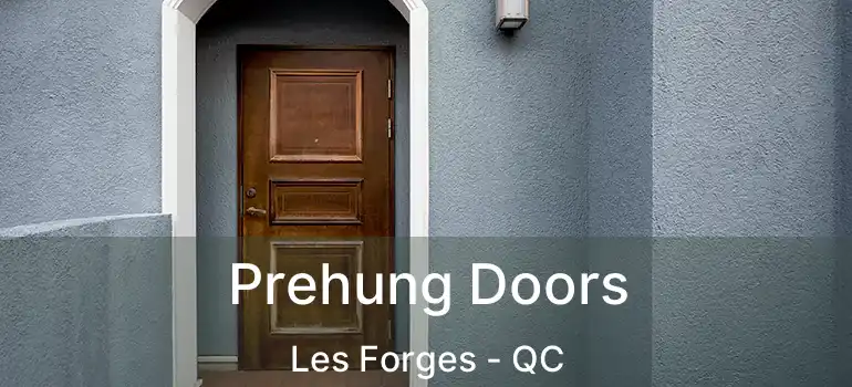  Prehung Doors Les Forges - QC