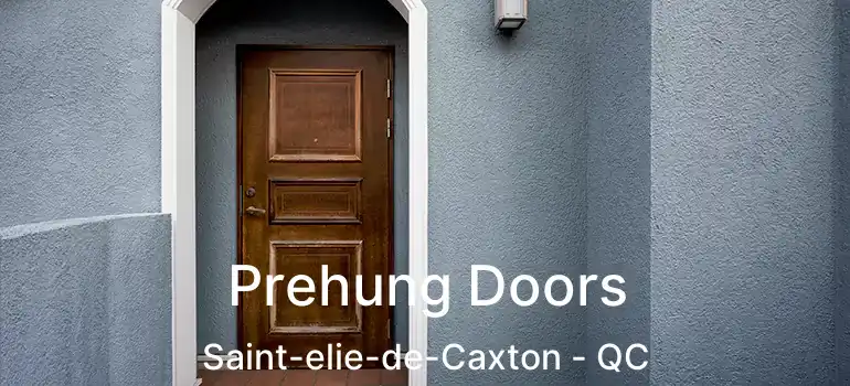  Prehung Doors Saint-elie-de-Caxton - QC