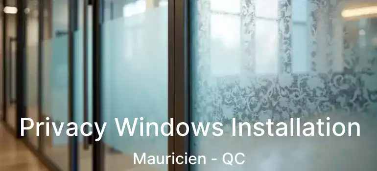  Privacy Windows Installation Mauricien - QC