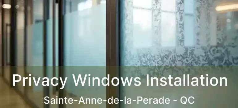  Privacy Windows Installation Sainte-Anne-de-la-Perade - QC