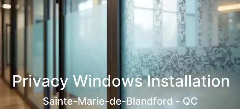  Privacy Windows Installation Sainte-Marie-de-Blandford - QC