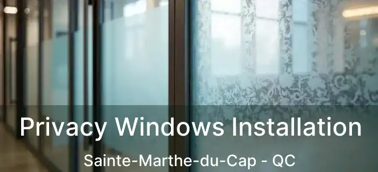  Privacy Windows Installation Sainte-Marthe-du-Cap - QC