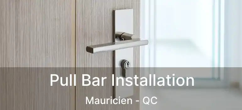  Pull Bar Installation Mauricien - QC