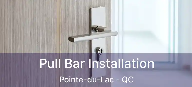  Pull Bar Installation Pointe-du-Lac - QC