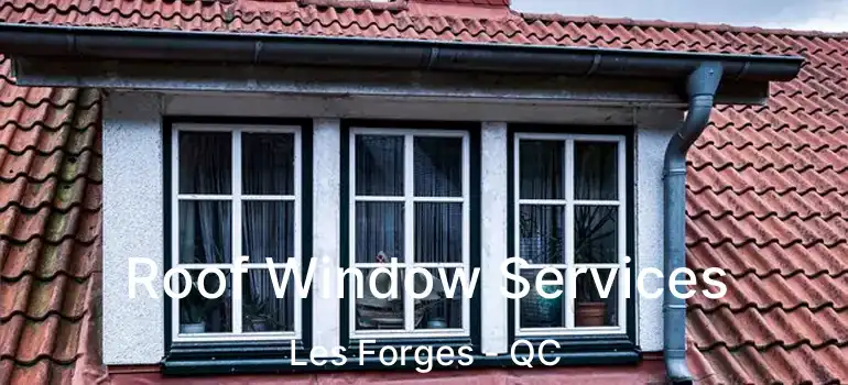  Roof Window Services Les Forges - QC