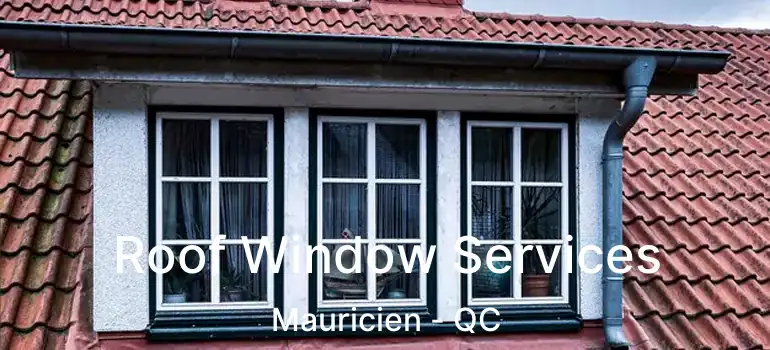  Roof Window Services Mauricien - QC