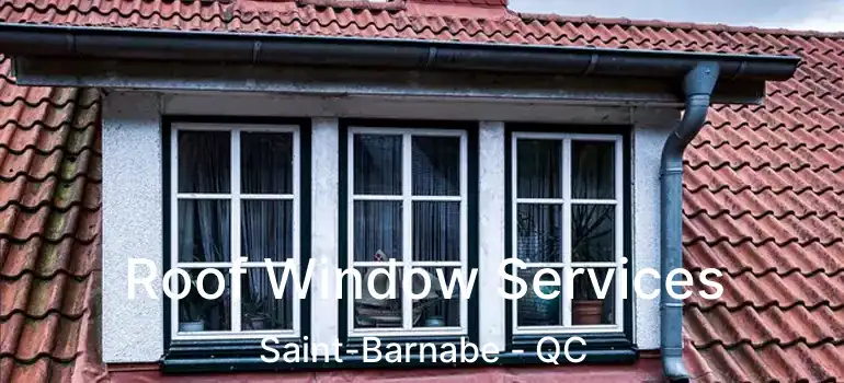  Roof Window Services Saint-Barnabe - QC