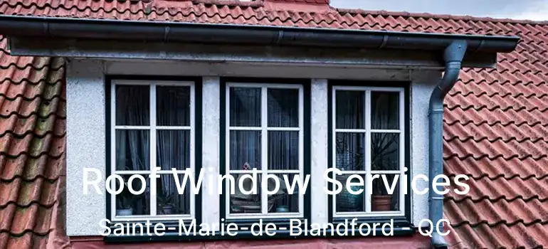  Roof Window Services Sainte-Marie-de-Blandford - QC