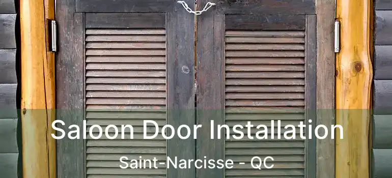 Saloon Door Installation Saint-Narcisse - QC
