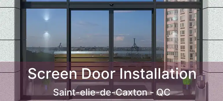 Screen Door Installation Saint-elie-de-Caxton - QC