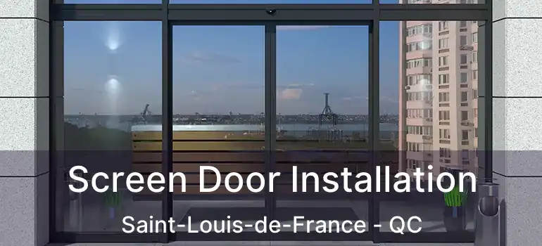  Screen Door Installation Saint-Louis-de-France - QC