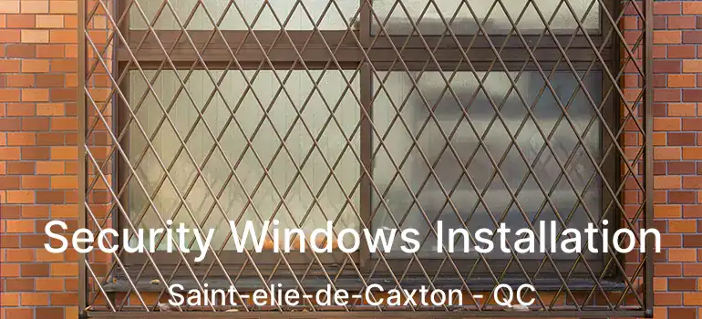  Security Windows Installation Saint-elie-de-Caxton - QC