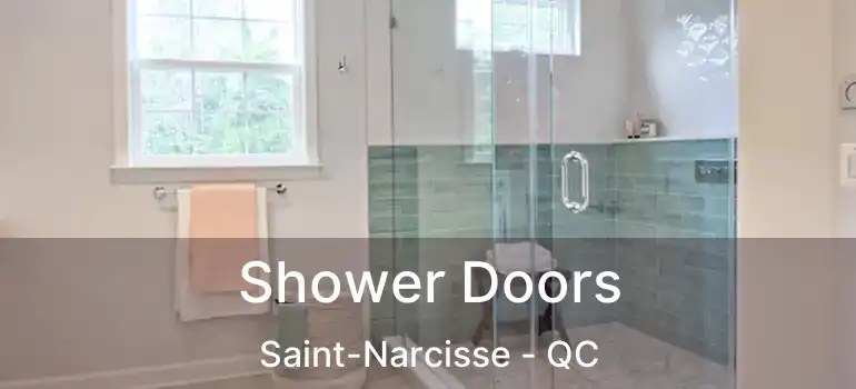  Shower Doors Saint-Narcisse - QC