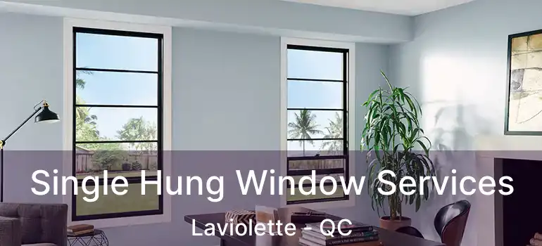  Single Hung Window Services Laviolette - QC