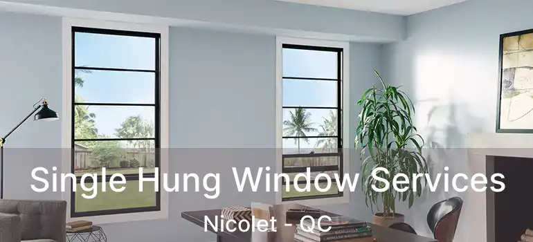  Single Hung Window Services Nicolet - QC