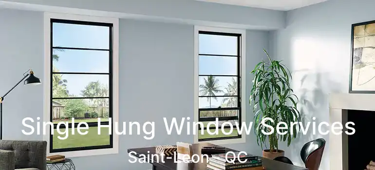  Single Hung Window Services Saint-Leon - QC