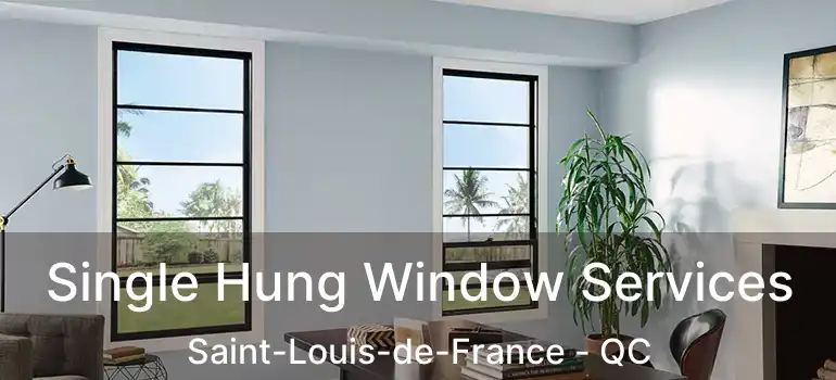  Single Hung Window Services Saint-Louis-de-France - QC