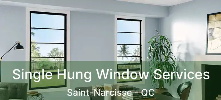  Single Hung Window Services Saint-Narcisse - QC