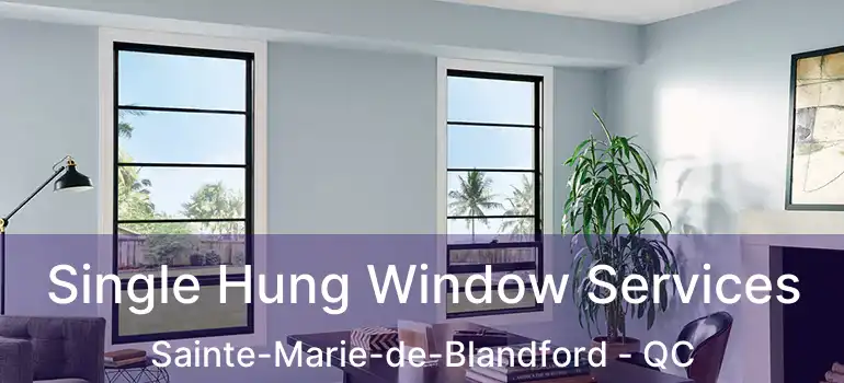  Single Hung Window Services Sainte-Marie-de-Blandford - QC