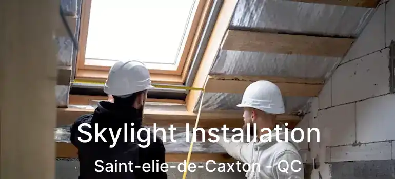  Skylight Installation Saint-elie-de-Caxton - QC