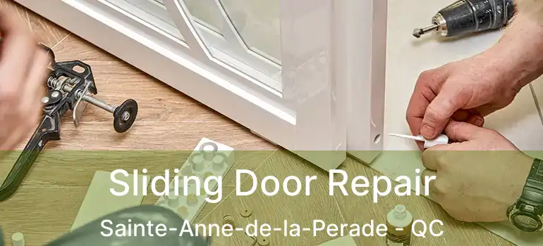  Sliding Door Repair Sainte-Anne-de-la-Perade - QC