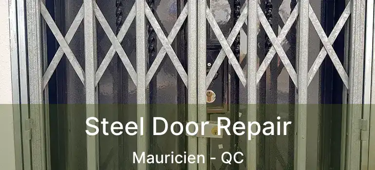  Steel Door Repair Mauricien - QC