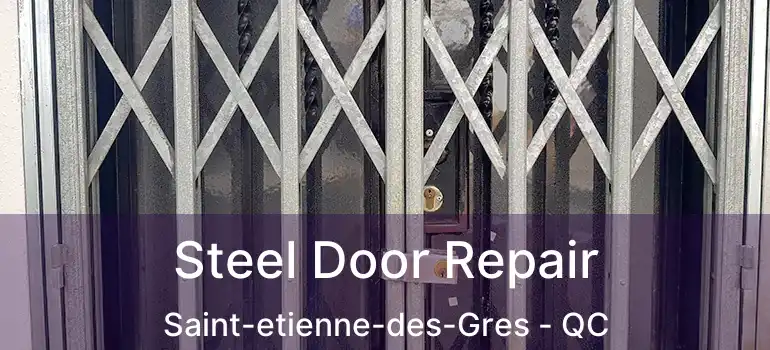  Steel Door Repair Saint-etienne-des-Gres - QC