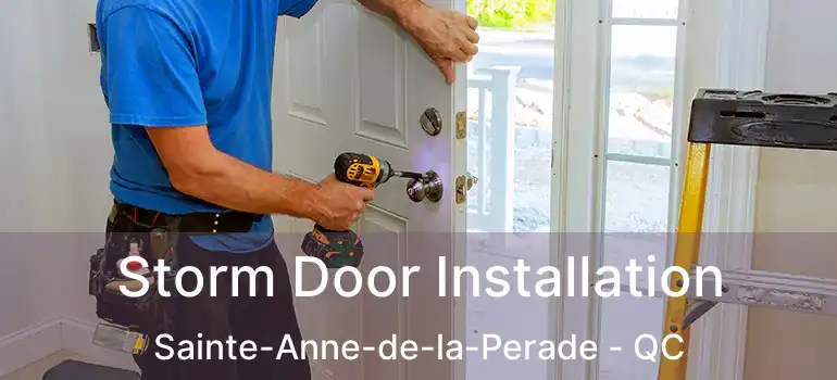  Storm Door Installation Sainte-Anne-de-la-Perade - QC