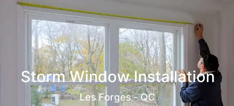  Storm Window Installation Les Forges - QC