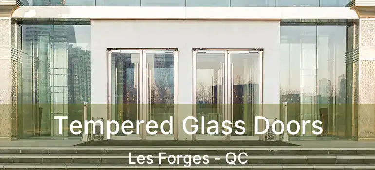  Tempered Glass Doors Les Forges - QC