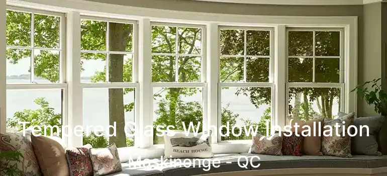  Tempered Glass Window Installation Maskinonge - QC