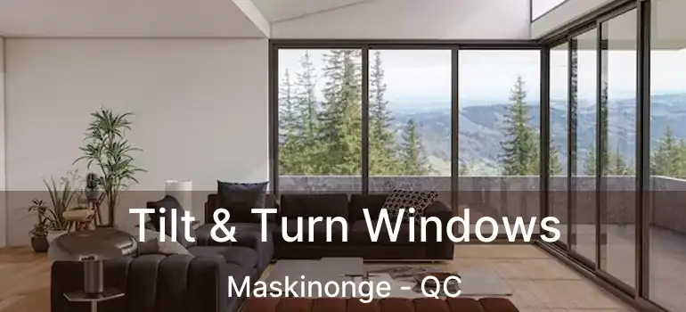  Tilt & Turn Windows Maskinonge - QC