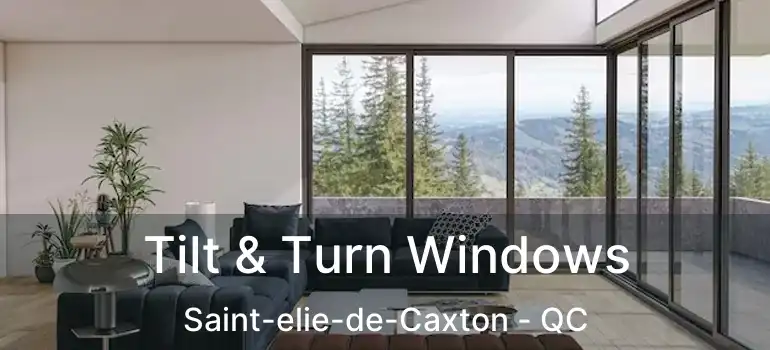  Tilt & Turn Windows Saint-elie-de-Caxton - QC