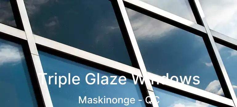  Triple Glaze Windows Maskinonge - QC