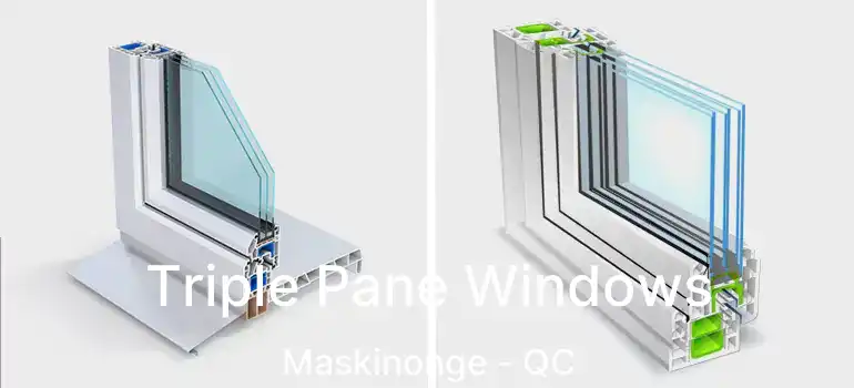  Triple Pane Windows Maskinonge - QC