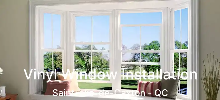  Vinyl Window Installation Saint-elie-de-Caxton - QC