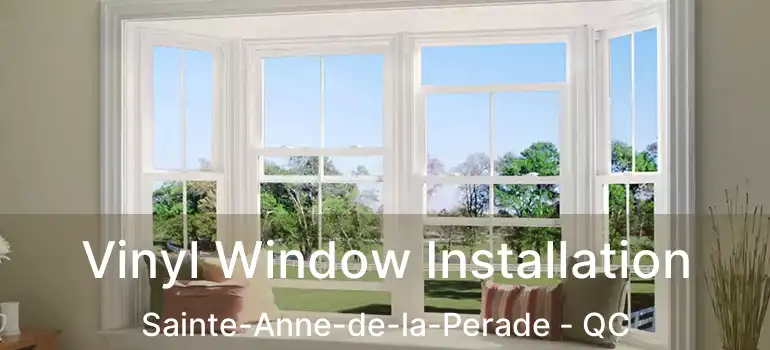  Vinyl Window Installation Sainte-Anne-de-la-Perade - QC