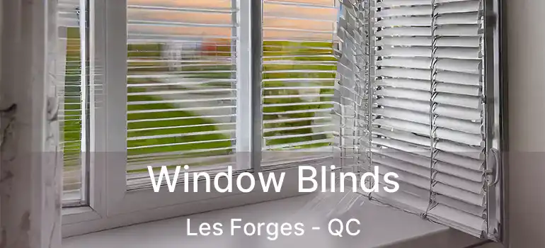  Window Blinds Les Forges - QC