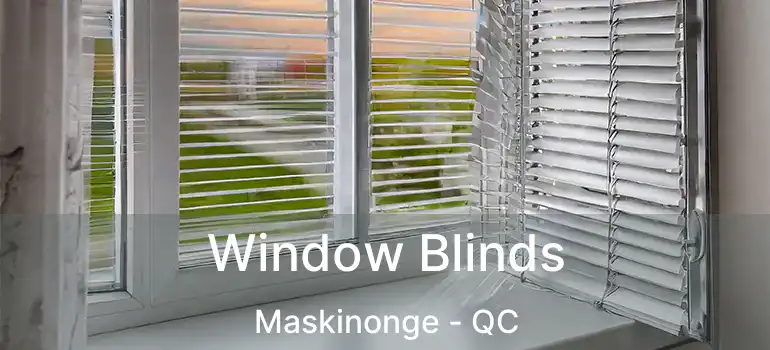  Window Blinds Maskinonge - QC