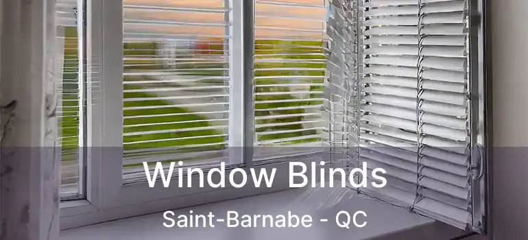  Window Blinds Saint-Barnabe - QC
