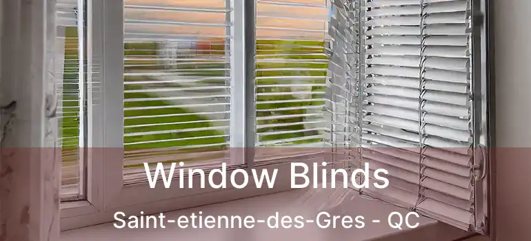  Window Blinds Saint-etienne-des-Gres - QC