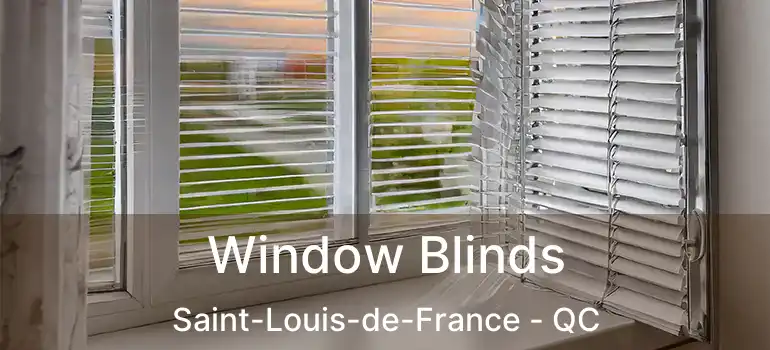  Window Blinds Saint-Louis-de-France - QC