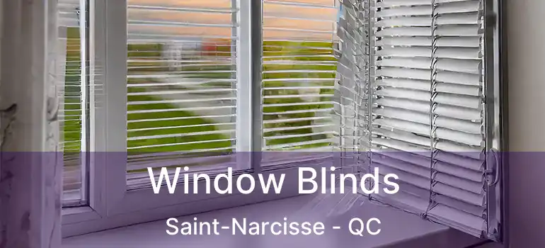  Window Blinds Saint-Narcisse - QC