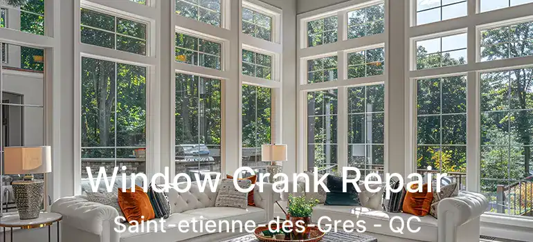  Window Crank Repair Saint-etienne-des-Gres - QC
