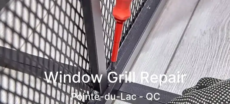  Window Grill Repair Pointe-du-Lac - QC