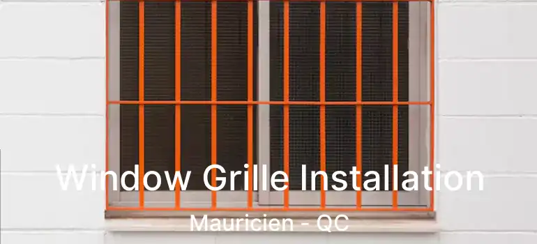  Window Grille Installation Mauricien - QC