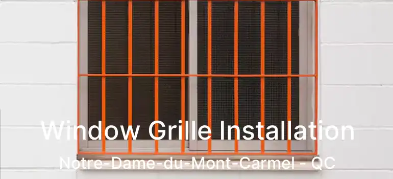  Window Grille Installation Notre-Dame-du-Mont-Carmel - QC