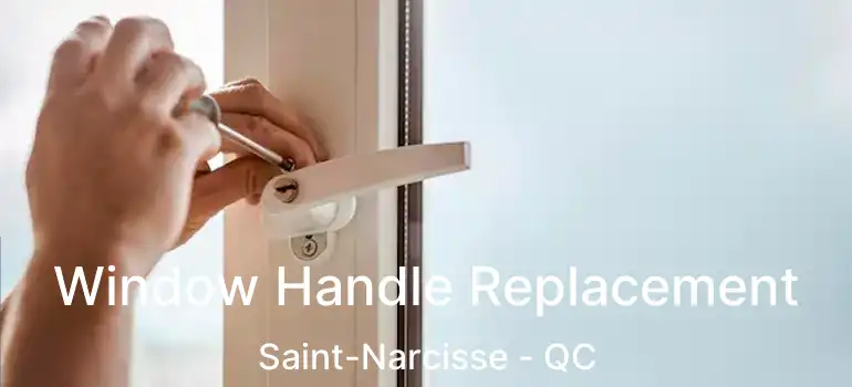  Window Handle Replacement Saint-Narcisse - QC