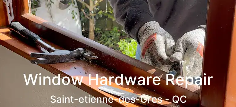  Window Hardware Repair Saint-etienne-des-Gres - QC