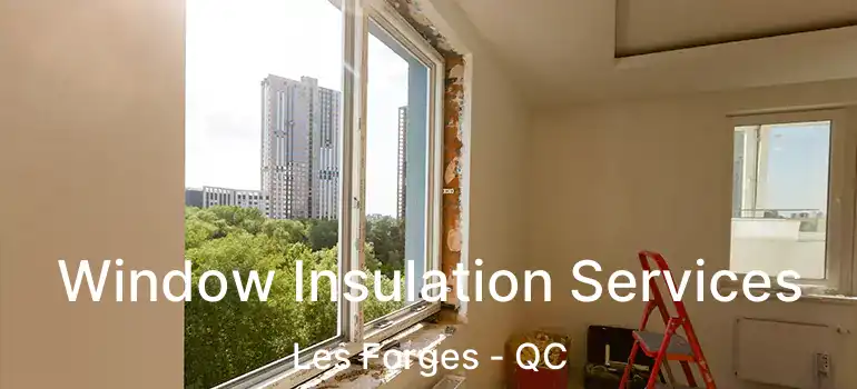  Window Insulation Services Les Forges - QC